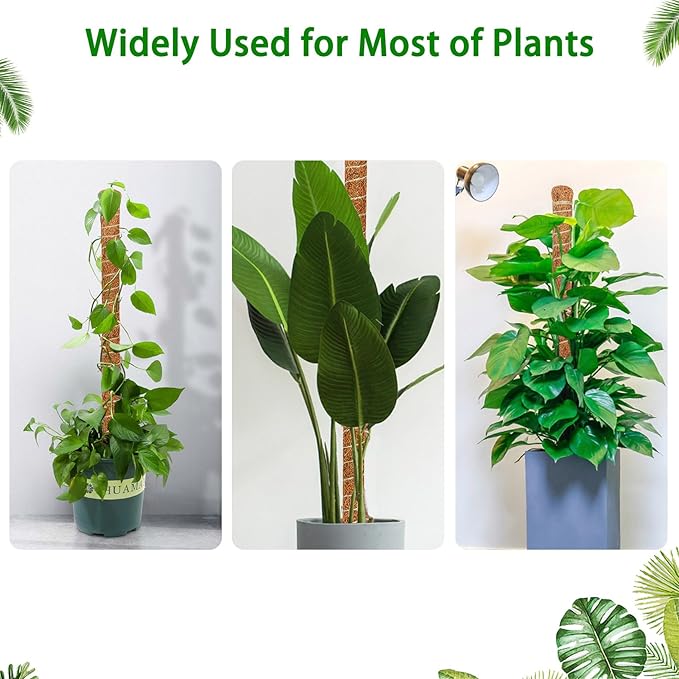 3 Pack Moss Pole, 63-Inch Moss Poles for Plants Monstera,Bendable Plant Support Stakes for Climbing Plants Indoor, Garden Trellis Plant Stick for Potted Plants, Pothos Philodendron