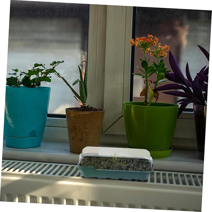 Yardwe 5pcs Germination Tray with Transparent Cover for Seedlings Airtight Warm Plant Propagation Trays for Home Gardening and Microgreens Growing