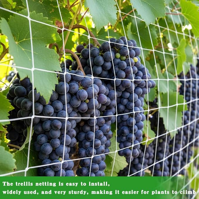 Trellis Netting for Climbing Plants 2 Pcs 6x15Ft Garden Trellis Netting Plant Support Net Heavy Duty Climbing Net Trelliss for Vegetables Fruits Grape Beans Tomatoes Peas Pumpkin Flowers Outdoor