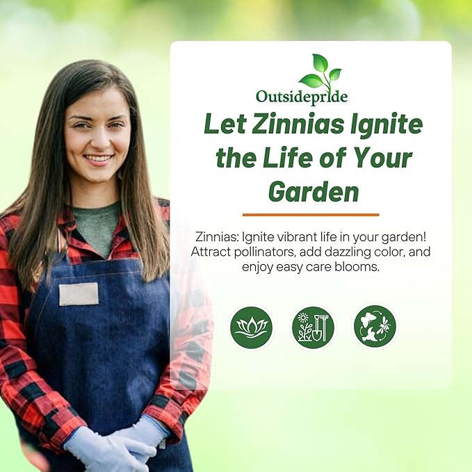 Outsidepride South of The Border Zinnia Seeds - 1000 Pcs Annual, Heat & Drought Tolerant Flower Seeds for Planting w/Vibrant Blooms for Pollinator Gardens & Floral Arrangements