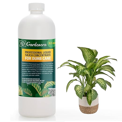 Premium Liquid Silica Plant Supplement - 32oz - Dumb Cane Plants Liquid Silica Boost Fertilizer - Stronger Stems & Healthy Leaves for Indoor & Outdoor Dieffenbachia Plants (Makes 180 Gallons)