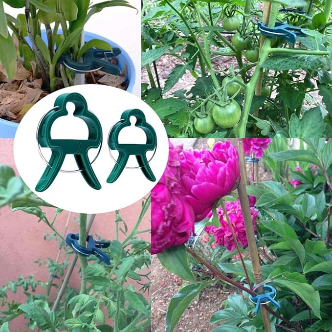 60PCS Garden Plant Supports Clips, 2 Sizes Adjusting Reusable Plant Clips for Supporting Stems of Flower Vine Vegetables Tomatoes Climbing