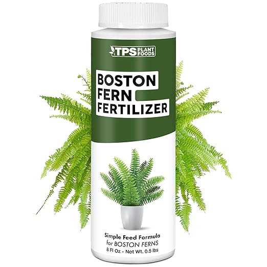 Boston Fern Fertilizer – Liquid Plant Food for Fuller Fronds, Rich Green Color & Healthy New Growth, 8 oz