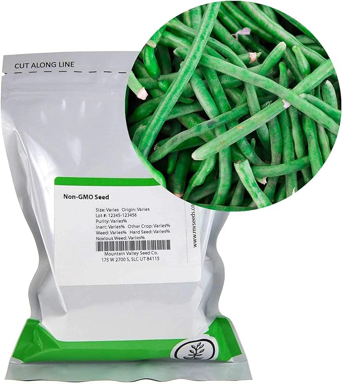 Jade Bush Bean Seed (Treated) - 1 Lb - Non-GMO, Heirloom Green Bean Seeds - Vegetable Garden Seeds
