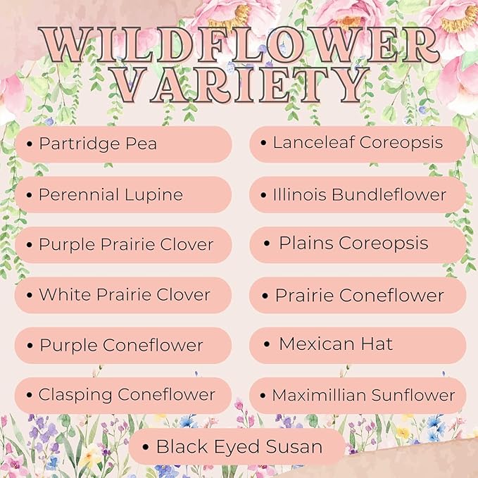 Wildflower Seed Packets Baby in Bloom Shower Party Favors (Pack of 30) - Wildflower Seed Packet Favors Gift (Blue Baby in Bloom)
