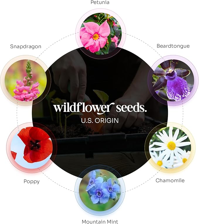 Seed Bloom Onesie Seed Paper – 15 Blue Shower Favors for Guests with Wildflower Seeds, Writable & Plantable, Shower Favor Gifts for Guest