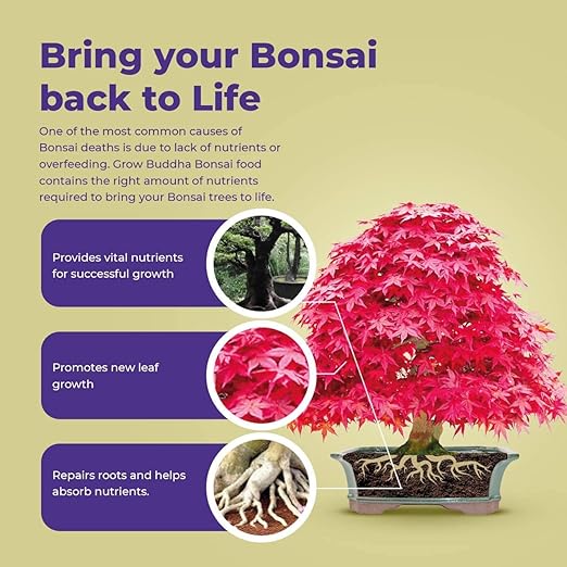 Bonsai Food Fertiliser – Liquid Concentrated Fertiliser for Bonsai Trees 100 ml – Fast Growth with Strong Root – Suitable for All Bonsai Trees and Plants