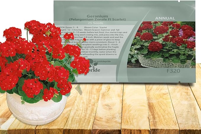 Outsidepride Scarlet Geranium Seeds for Planting - 50 Pcs Annual, Heat & Drought Tolerant Flower Seeds with Green Foliage & Scarlet Blooms for Pots, Borders & Lush Summer Garden Displays