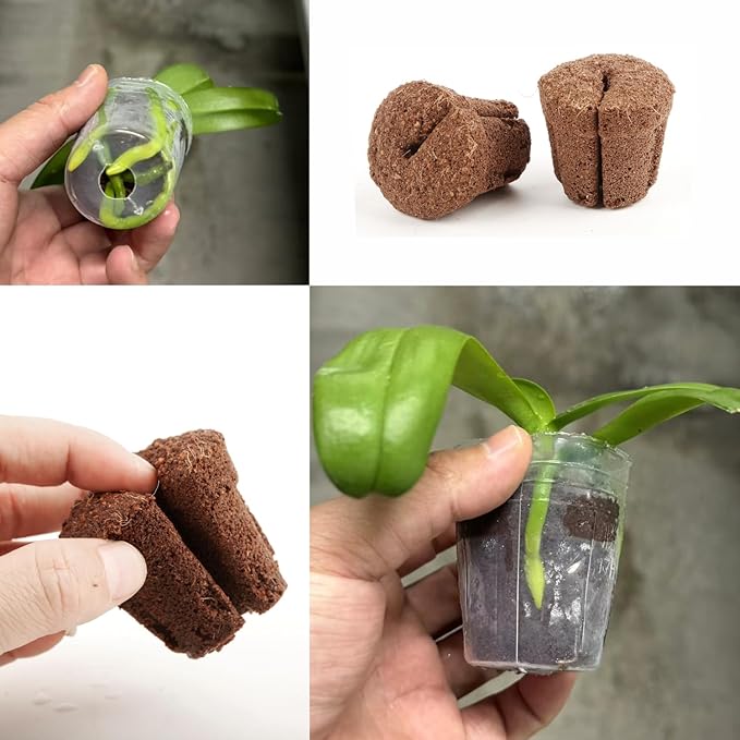 50pcs 1.5 Inch Phalaenopsis Orchid Growing Plugs, Hydroponic Growing Media for 1.5 Inch Orchid Cups, Breathable Planting Cubes for Orchid Seedlings and Transplanting
