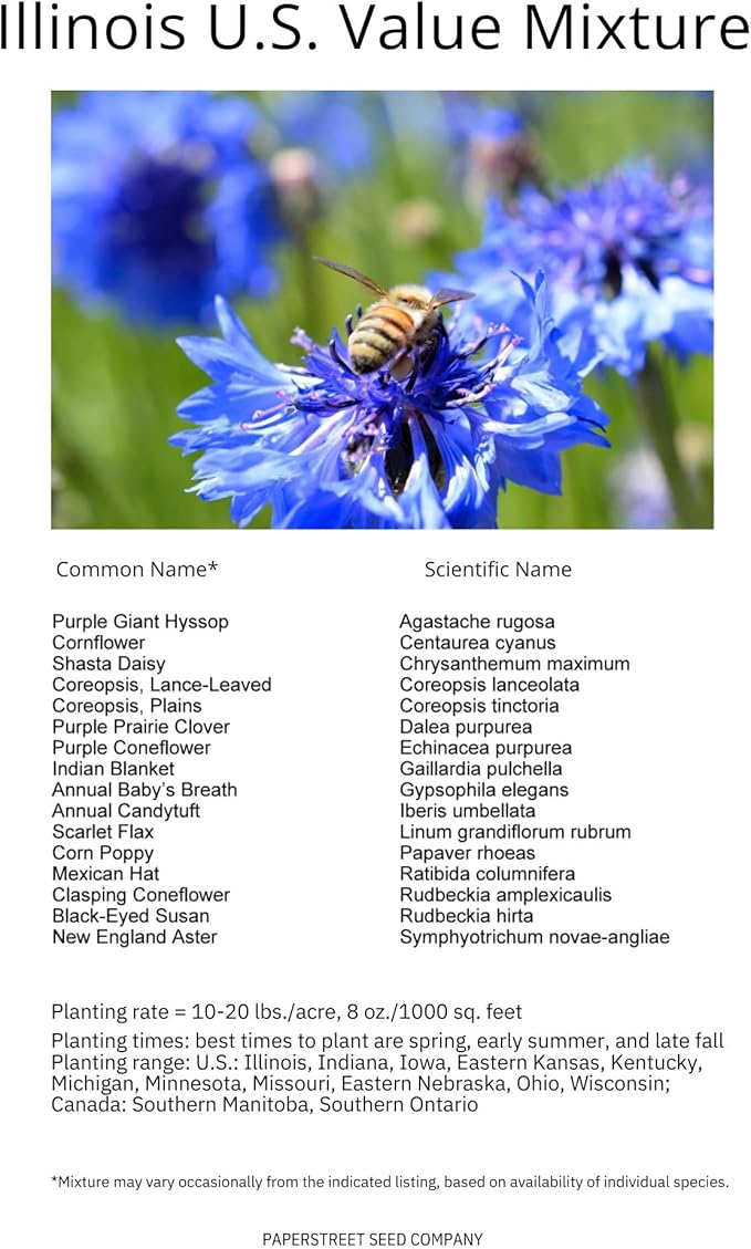 Illinois Bulk Perennial Wildflower Seed Mix 1lb Covers 2,000sq-ft - Attract Pollinators, Multi-Color Blooms - Midwest US Species Plant in Spring/Fall - Earth-Friendly Packaging (1/4 Pound)