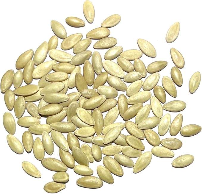 Seed Needs Cucamelon Seeds/Lemon Cucumber Seeds for Planting - Non-GMO, Heirloom & Untreated Vegetables - Grow a Home Grown Outdoor Vegetable Garden (2 Pack Collection)