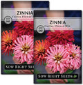 Sow Right Seeds - Zinnia Cactus Flower Seeds for Planting - Beautiful Flowers to Plant in Your Garden - Non-GMO Heirloom Seeds - Red and Pink Variety - Attract Pollinators - Beautiful Cut Flower (2)