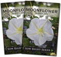 Sow Right Seeds - Moonflower (Ipomoea alba) Flower Seeds for Planting - Non-GMO Heirloom Flowers to Grow in Your Home Garden - Vining Plant for Beautiful Evening Blooms - Wonderful Gift (2)
