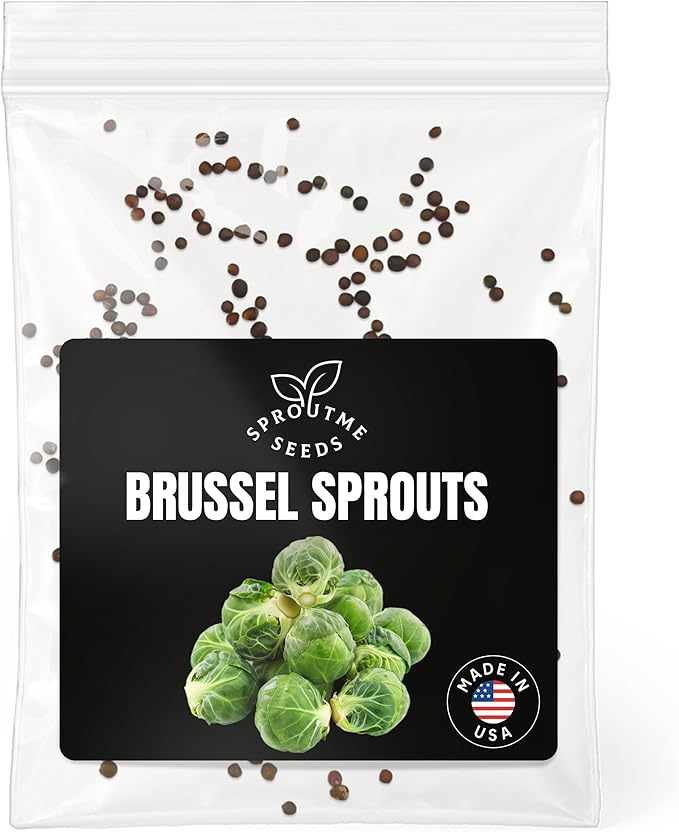 Fall & Winter Brussels Sprouts Seeds for Indoor & Outdoor Planting – 200+ Non-GMO Heirloom USA-Grown Mini Cabbage Heads, High Germination (Brassica oleracea VAR. gemmifera)
