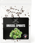 Fall & Winter Brussels Sprouts Seeds for Indoor & Outdoor Planting – 200+ Non-GMO Heirloom USA-Grown Mini Cabbage Heads, High Germination (Brassica oleracea VAR. gemmifera)