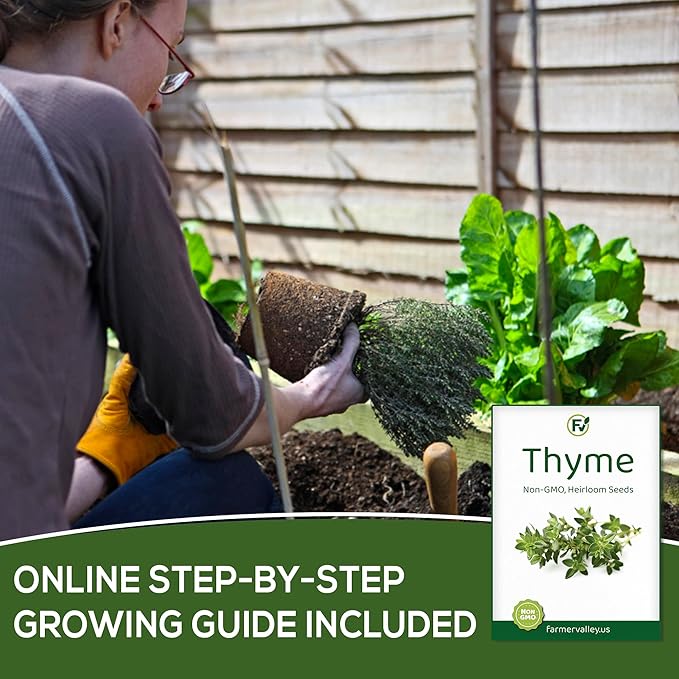 Thyme Seeds for Planting Home Garden Herbs - Non-GMO, Heirloom, Untreated, and USA Grown Variety - Individual Pack of 200+ Heirloom Seeds, Suitable for Outdoors, Indoors, and Hydroponics