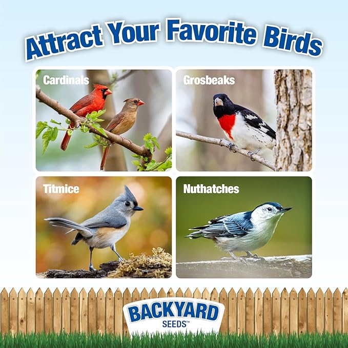 CountryMax Backyard Seeds Safflower Bird Seed for Cardinals (10 Pounds)