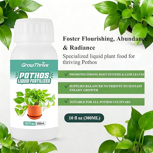 Organic Pothos Plant Food Liquid Fertilizer (10 oz) - Probiotic Nutrient Solution for Indoor Houseplants, Vibrant Leaves & Root Growth