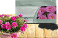 Outsidepride Pink Moss Rose Seeds - 10000 Pcs Annual, Drought & Heat Tolerant, Pollinator Friendly Ground Cover Seeds for Planting w/Vibrant Blooms & Succulent Foliage, Ideal for Xeriscaping
