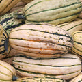 Delicata Winter Squash Garden Seeds - 1 Oz - Non-GMO, Heirloom - Vegetable Gardening Seed
