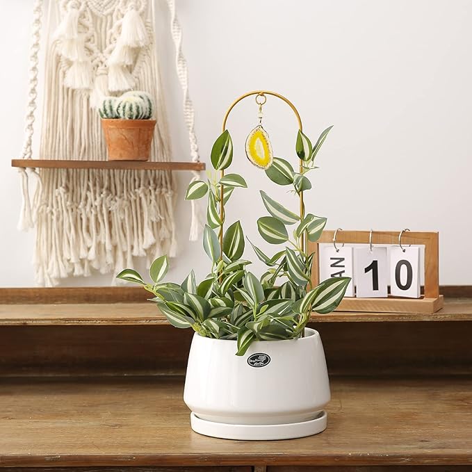 2PCS Small Gold Trellis for Climbing Plants Indoor, Mini Metal Houseplant Climber Support for Potted Plants, Boho Decorative Pot Lattice with Agate for Hoya, Pothos, Ivy, Philodendron