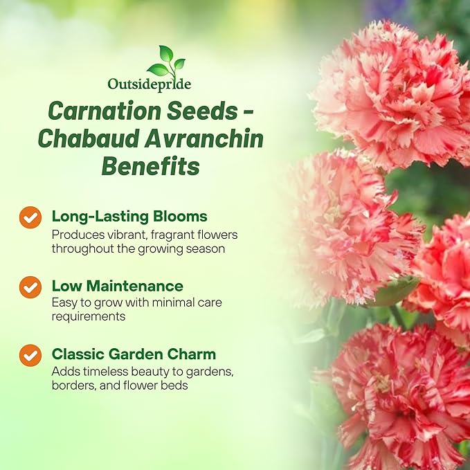 Outsidepride Avranchin Red Carnation Seeds - 1000 Pcs Perennial, Easy to Grow Flower Seeds for Planting with Fragrant Blooms, Ideal for Pollinators, Cutting Gardens, Bouquets, & Floral Arrangements