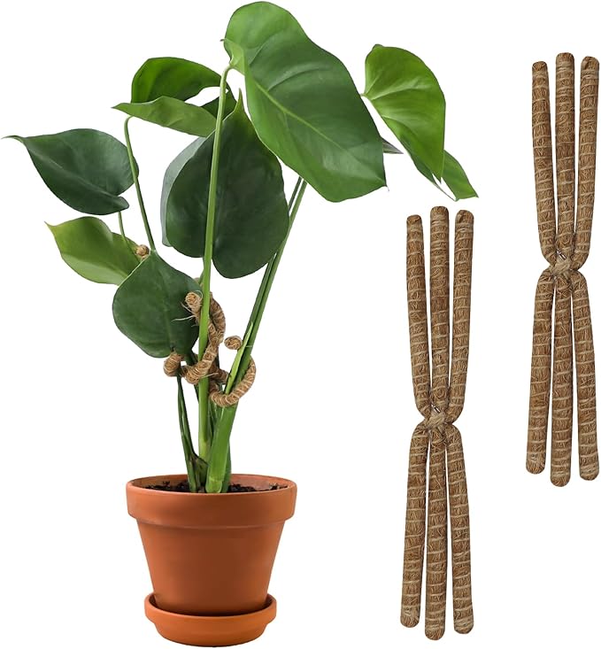 2PC Bendable Plant Climbers Stem Holders, 11.8 Inch Natural Coconut Fiber Climbing Houseplant Monstera Stem Supports, Reusable Flower Plant Stakes Trellis Stem Growth Accessories for Plant Indoor