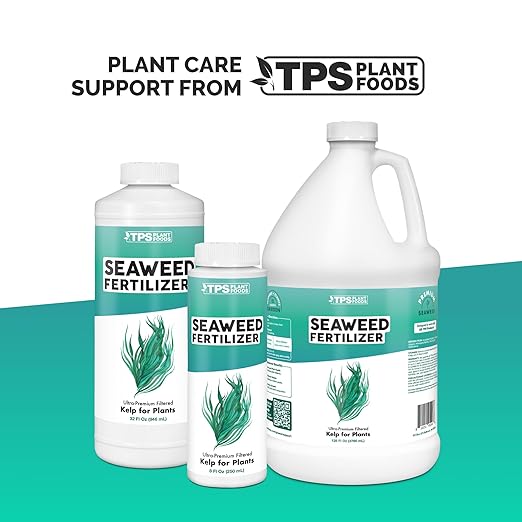 Seaweed Fertilizer – Organic Kelp Plant Food for All Plants, Boosts Nutrient Uptake for a Lush, Vibrant Garden, 32 oz
