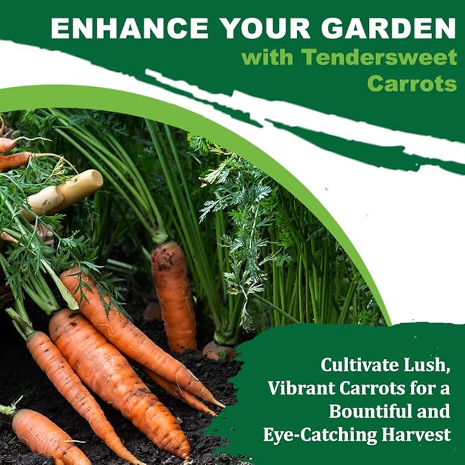 TKE Farms & Gardens - Tendersweet Carrot Seeds, 2500+ Non-GMO Heirloom Seeds, Grow Sweet, Crisp Carrots, Easy to Grow for Fresh Garden-to-Table Goodness, Includes Growing Instructions