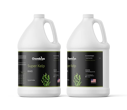 Chemboys Super Kelp Liquid Seaweed Fertilizer Kelp Plant Food Supplement for Plant Growth, Bloom & Yield Boost Liquid Seaweed Concentrate Garden Fertilizer - 1 Pint (16 fl oz)