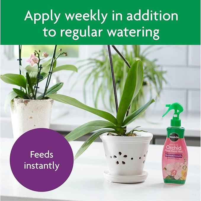 Miracle-Gro Orchid Plant Food Mist 8 oz. (Pack of 6)