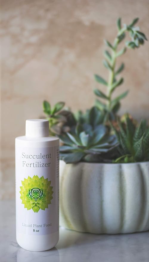 Succulent Fertilizer | Formulated Succulent Food for Potted Indoor Succulents and Cactus | Plant Food for Succulent Soil in Pots | by Aquatic Arts