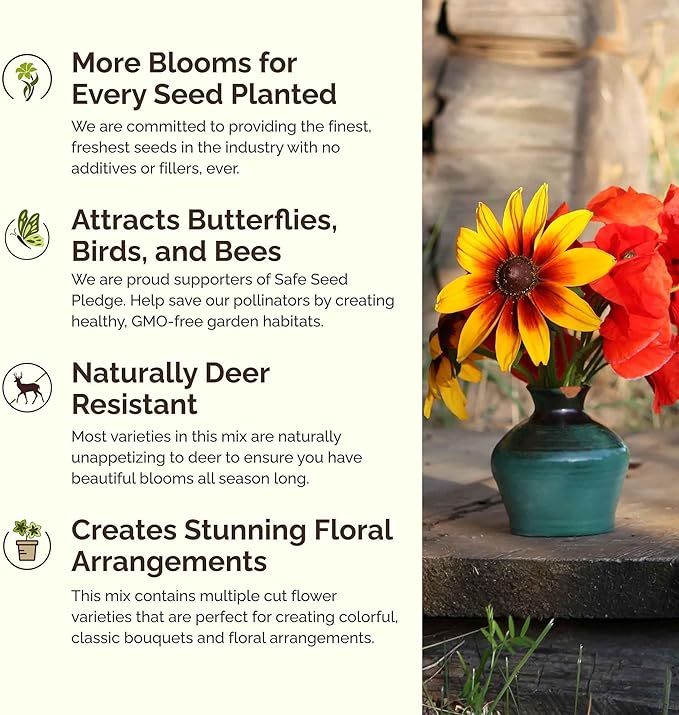 Eden Brothers Southeast Wildflower Mixed Seeds for Planting, 1 lb, 480,000+ Seeds with Cornflower, Blanket Flower | Attracts Pollinators, Plant in Spring or Fall, Zones 3, 4, 5, 6, 7, 8, 9, 10