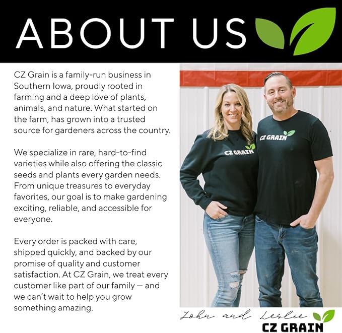 Green Asparagus Seeds – 150+ Non-GMO Seeds – Easy-to-Grow Perennial Garden Vegetable