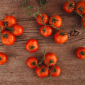 Glasnost Siberian Tomato - 50 Seeds - Russian Heirloom Variety, Flavorful Red Tomatoes, Non-GMO Heirloom Vine Tomato Seeds for Planting in The Home Garden, Thresh Seed Company