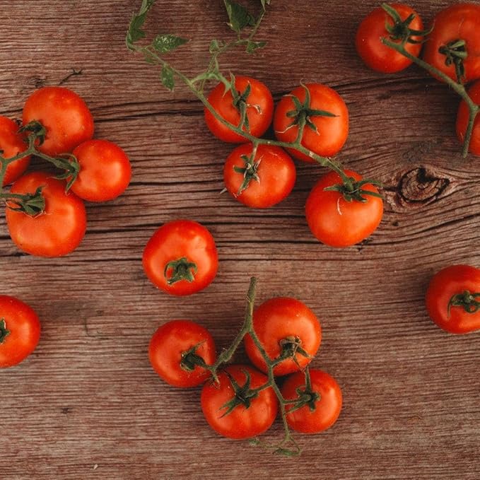 Glasnost Siberian Tomato - 50 Seeds - Russian Heirloom Variety, Flavorful Red Tomatoes, Non-GMO Heirloom Vine Tomato Seeds for Planting in The Home Garden, Thresh Seed Company