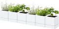 D'vine Dev 4 Inch Herb Planter Pot, Plastic Planter with Drainage Holes and Saucer, Modern Decorative Gardening Pot for Indoor Plants, Flowers, Herbs, Succulents, White, Set of 6, 76-Y-A6-1