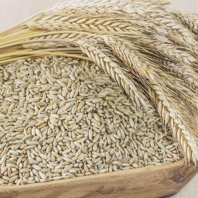 4 Lbs Rye Grass Seeds for Lawn, Rye Cover Crop Seeds for Outdoor Planting, Fast-Growing Grass Seed