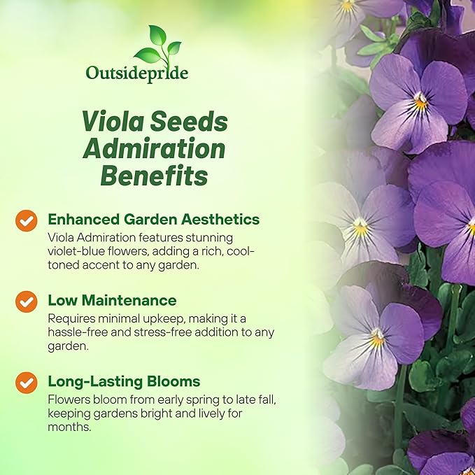 Outsidepride Admiration Viola Pansy Seeds for Planting - 2000 Pcs. Perennial, Cold-Hardy & Pollinator Friendly Flowers with Fragrant Blooms for Garden Beds, Borders & Container Displays