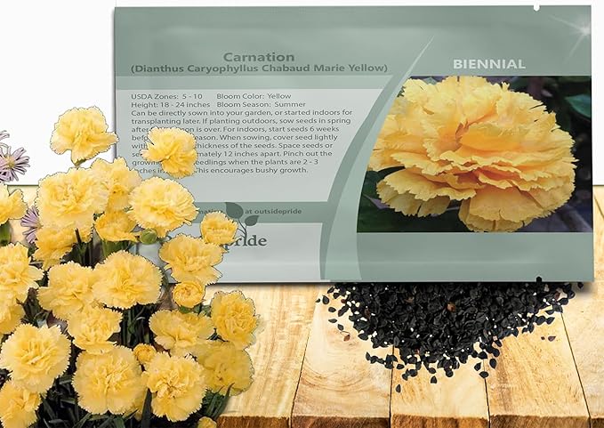 Outsidepride Yellow Carnation Seeds - 1000 Pcs Biennial, Easy to Grow Flower Seeds for Planting with Fragrant Blooms, Ideal for Pollinators, Cutting Gardens, Bouquets, & Floral Arrangements