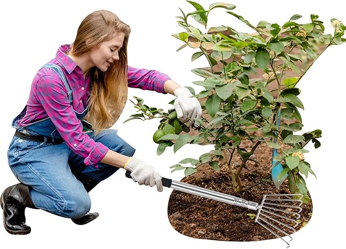 Landscape Rakes for Lawns Leaf Leaves, Small Hand Cultivator, Clam Tool for Cleaning Debris, Weeds, Grass, Pine Needle Remove in Yard, Flower Beds, Herb Rock Garden Care - Stainless Steel