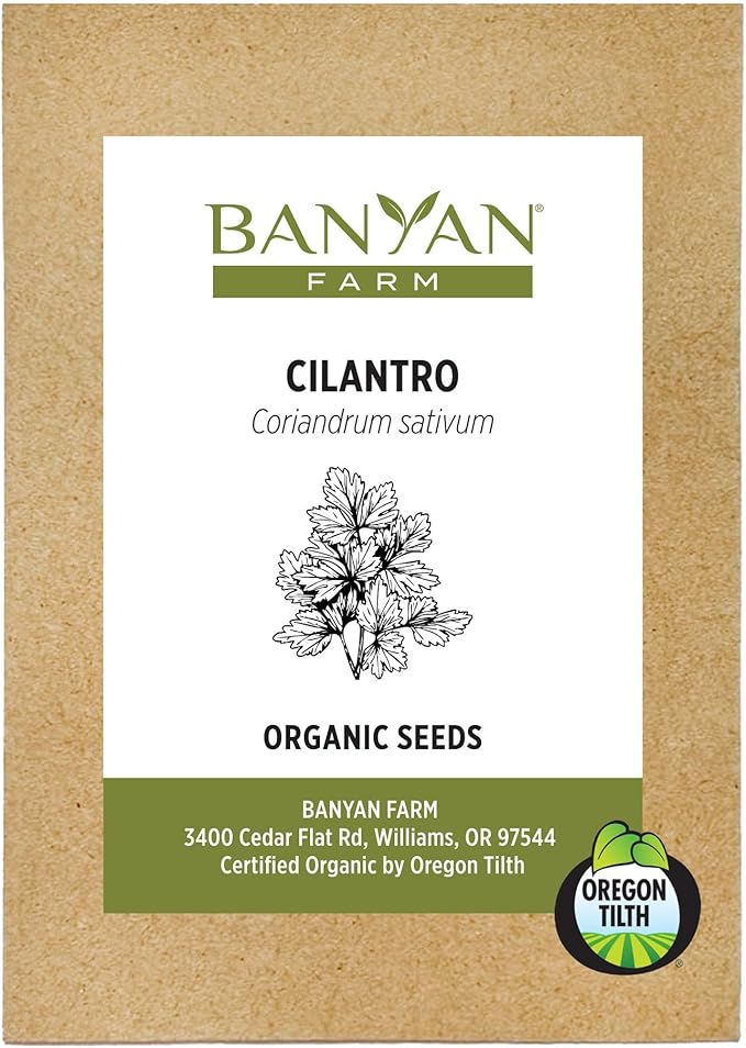 Banyan Botanicals Organic Cilantro Seeds – for Planting Cilantro from Seed – Coriandrum Sativum – 100 Count – Easy to Grow Open Pollinated Non-GMO Cilantro Seeds
