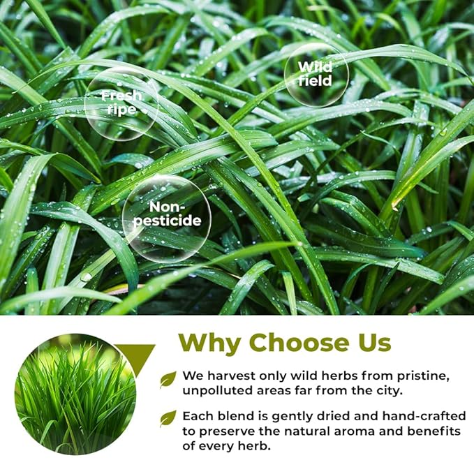 100 Bags Dried Lemongrass Tea Lemon Grass Leaf Herbal Tea Zacate De Limon (Cymbopogon) - 100 Count 1.5g Bags Lemongrass Chai Herb Limoncillo (Hierba Limon)