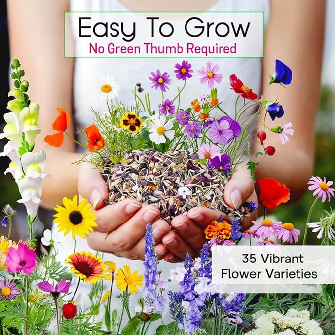 NatureZ Edge Wildflower Seeds, 1/2 lb, 340,000 Seed, 35 Variety Perennial & Annual Flower Seeds to Plant Outside, Bulk Wildflower Seed, Wild Flower, Semillas de Flores