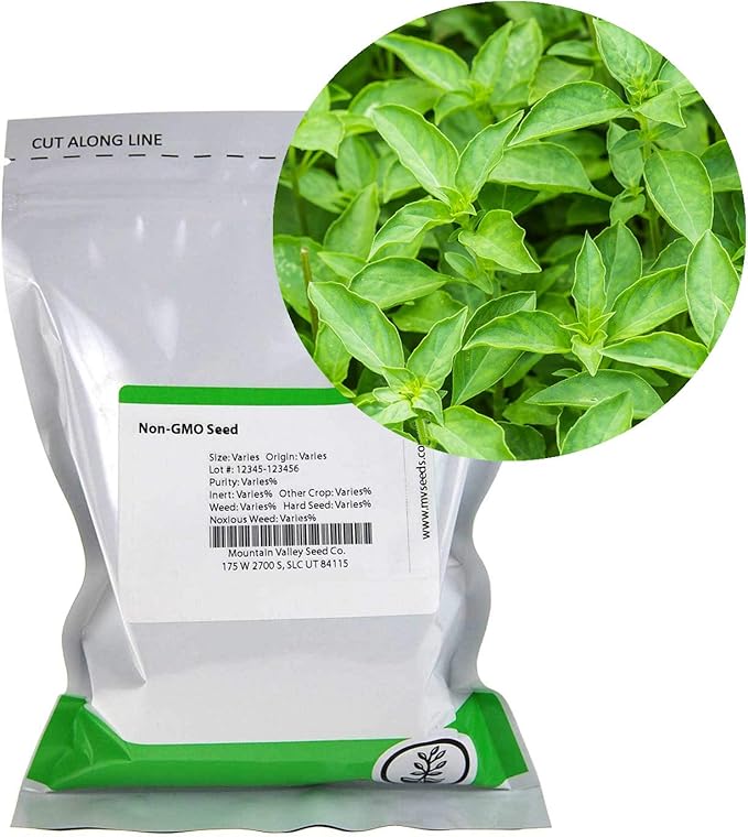 Thai Basil Seeds - Bulk Herb Seeds for Growing Microgreens, Indoor Gardening: Micro Greens Salad (4 Oz)