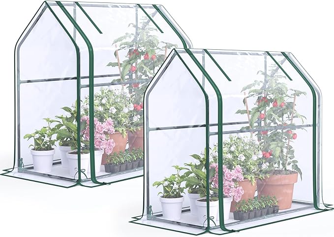 Quictent Mini Greenhouse for Indoor, 2-Pack Tabletop Portable Small Green House Waterproof UV Protected Cover Shelter for Outdoors, Garden Plant Seed Starting Nursery, 36"x18"x33", Clear