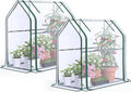 Quictent Mini Greenhouse for Indoor, 2-Pack Tabletop Portable Small Green House Waterproof UV Protected Cover Shelter for Outdoors, Garden Plant Seed Starting Nursery, 36"x18"x33", Clear