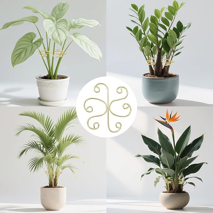5pcs Plant Stem Support，Metal Shaped Support Frame For Outdoor & Indoor Plant Growth Stereotypes-Small