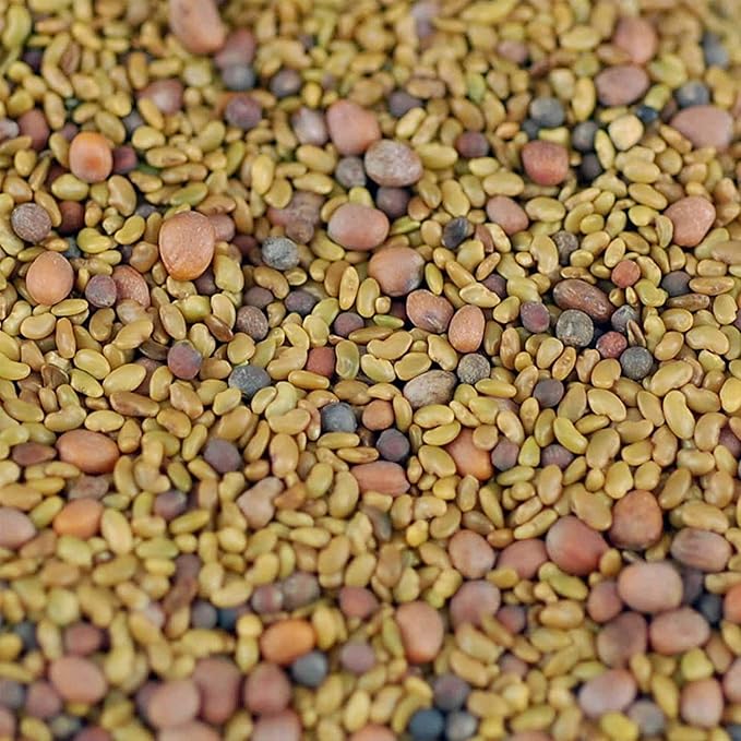 3 Part Salad Sprout Seed Mix - 4 Oz. - Handy Pantry Brand - Organic Sprouting Seeds: Radish, Broccoli & Alfalfa: Cooking, Food Storage or Delicious Salad Sprouts