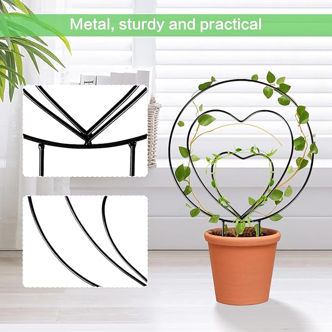 Hoya Trellis 3 Size Indoor Plants Flower Support Stakes Round or Heart Metal Trellis Set Garden Tool Accessories for Small Potted Vine Climbing Houseplants (BlackCH)